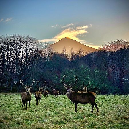Вілла Loch Rannoch Highland Club Кінлок-Раннок Екстер'єр фото